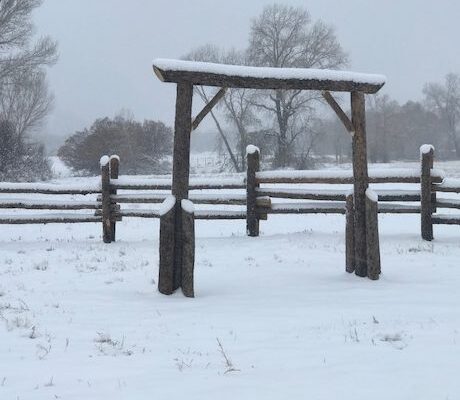 Winter a the Ceremony Site